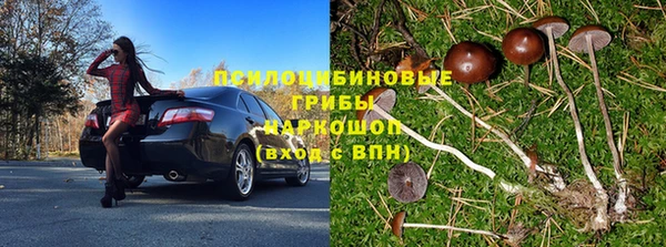 молекула духа Магадан