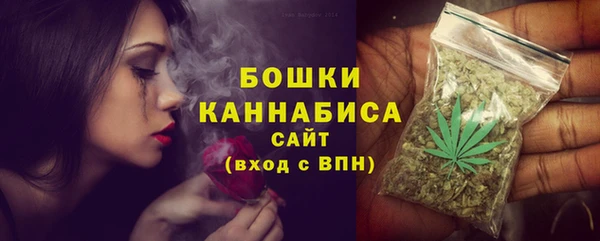 индика Медвежьегорск