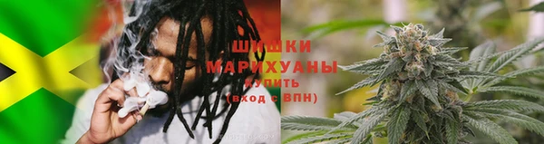гашик Майский