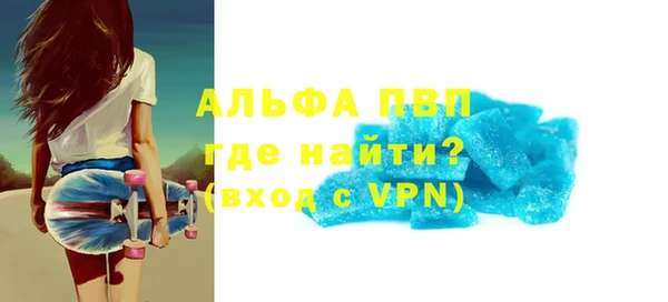 индика Медвежьегорск