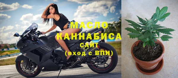 индика Медвежьегорск