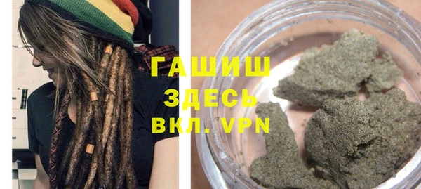 индика Медвежьегорск