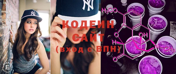 гашик Майский