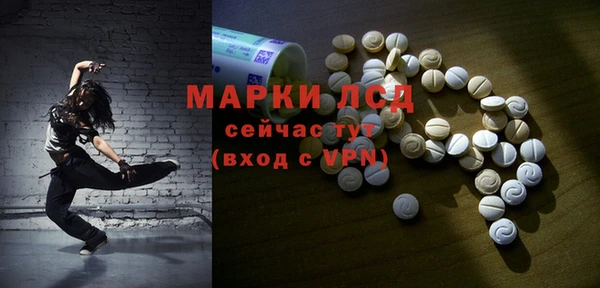 молекула духа Магадан