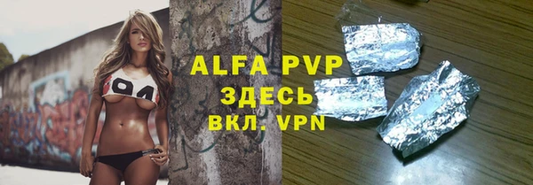 гашик Майский