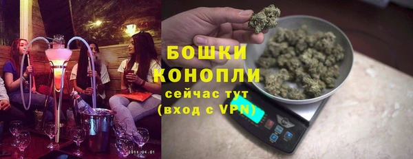 гашик Майский