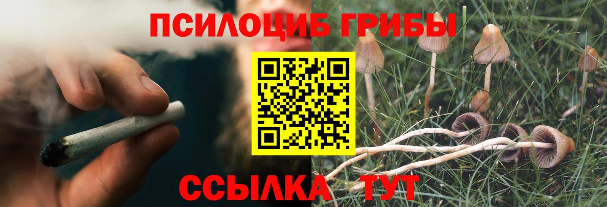 Галлюциногенные грибы Cubensis  Вход с VPN  Ишим 